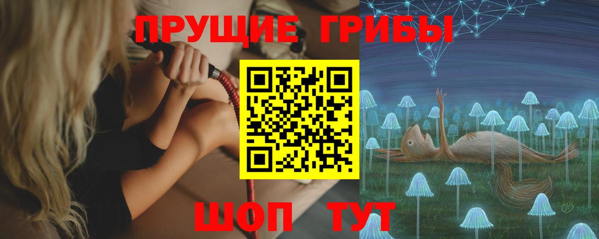 что такое   Вход с VPN  Магадан  Псилоцибиновые грибы GOLDEN TEACHER 